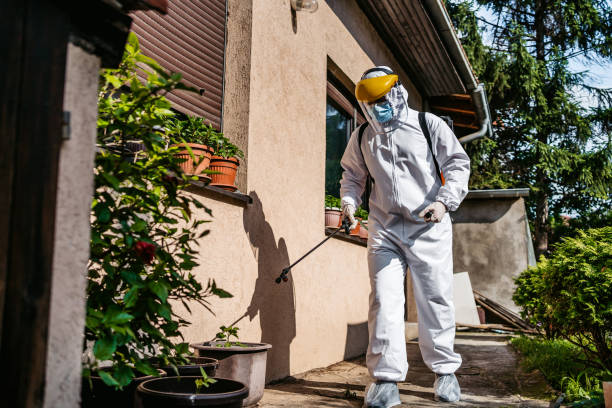Best Mosquito Control Services  in Cumberland, MD