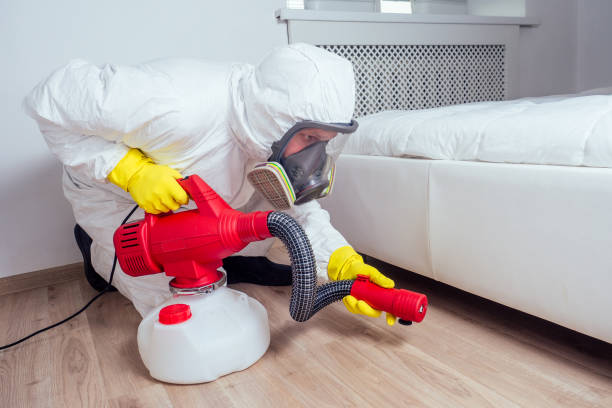 Best Bed Bug Extermination  in Cumberland, MD