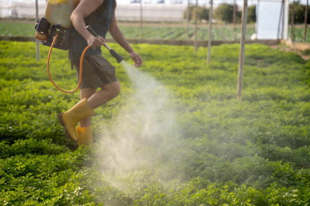 Professional Pest Control in Cumberland, MD