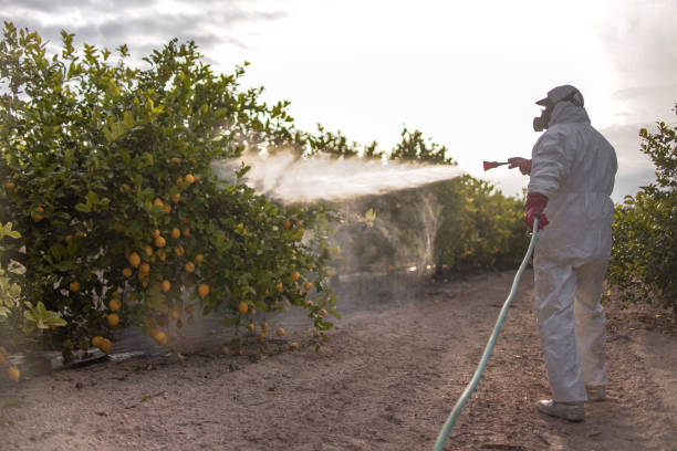 Pest Control Cost in Cumberland, MD