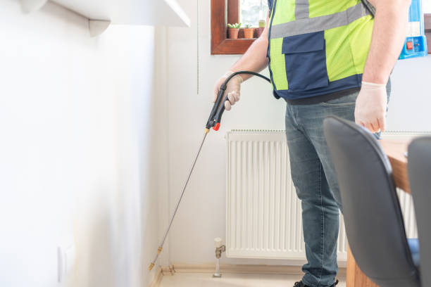 Best Wasp Removal Services  in Cumberland, MD